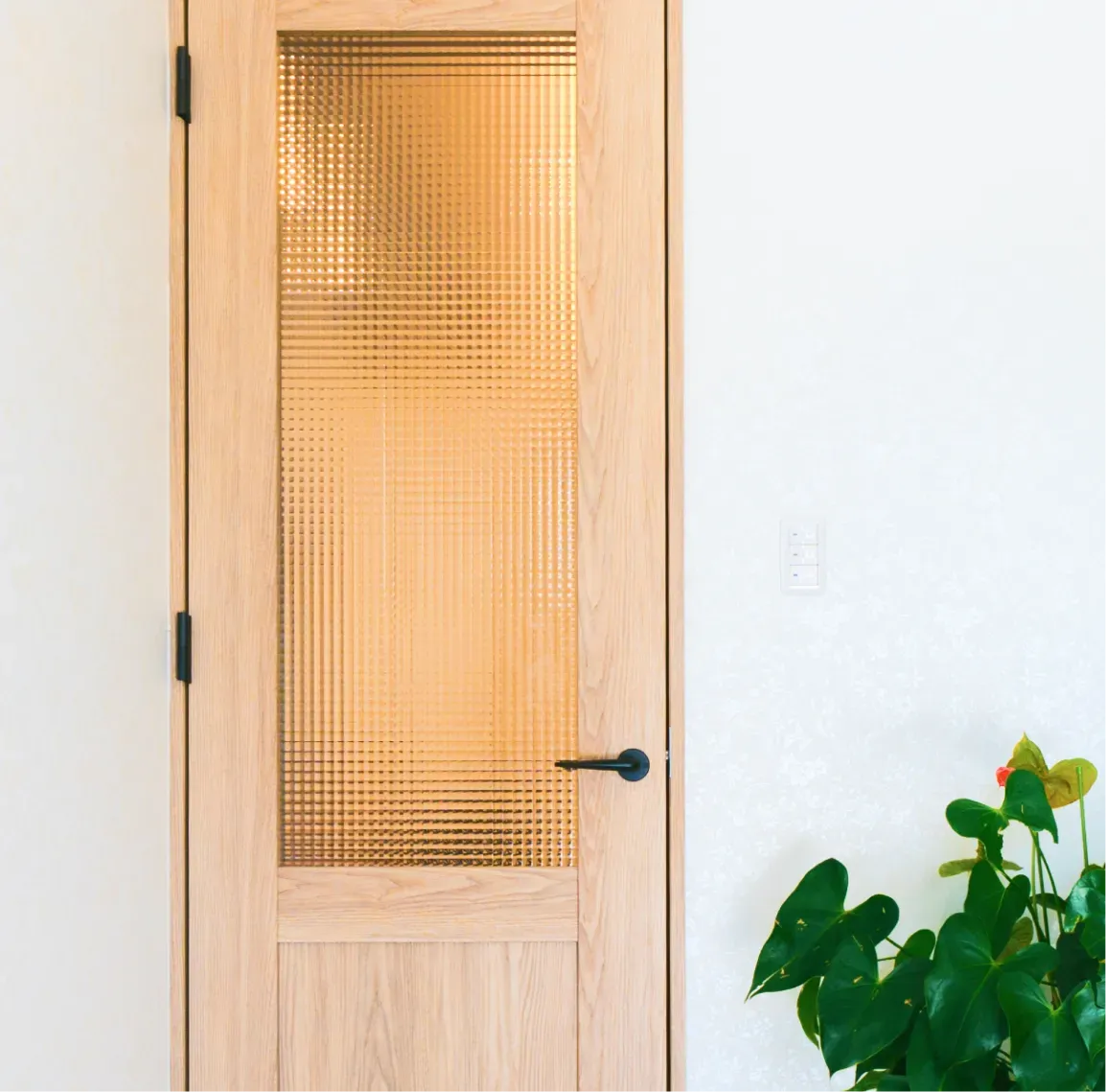 ギャラリー画像3